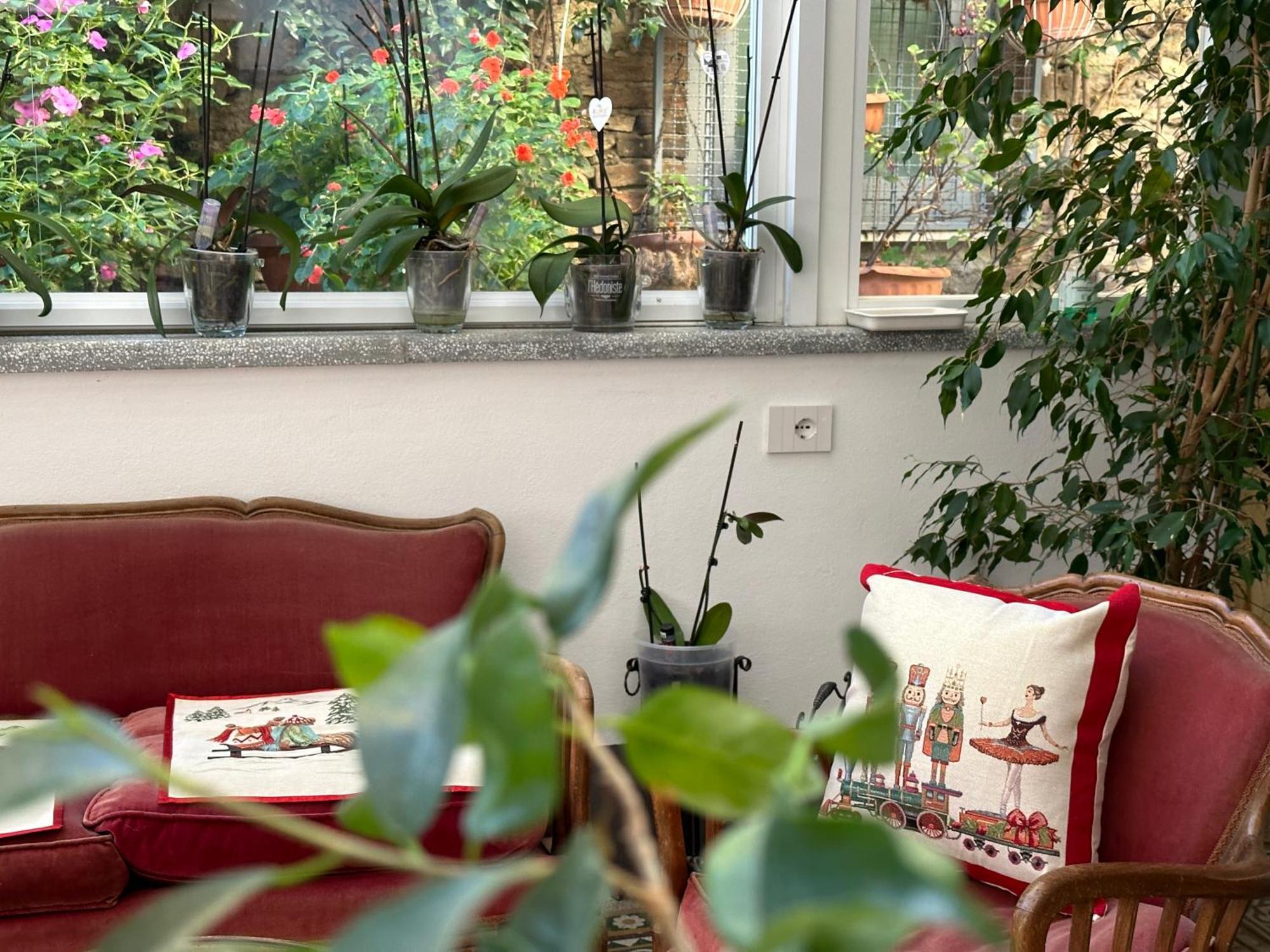 Domus Socolatae Residenza D'Epoca Charming B&B - Adults Only Follonica Exteriör bild